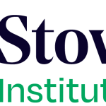 Vice President and Chief Technology Officer